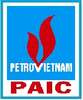 Công ty chế tạo PIN mặt trời PV PAIC - VSIP 2 Bình Dương